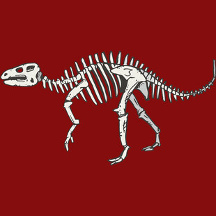 红色背景的恐龙骨骼模型