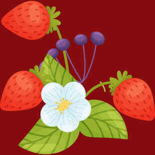 草莓花朵插画