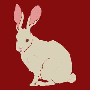 可爱白兔插画