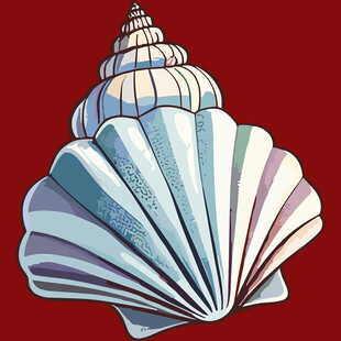 彩色贝壳插画