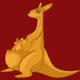 袋鼠母子温馨画面