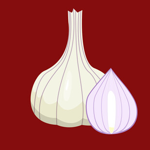 大蒜插画图