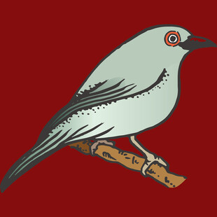 栖息枝头的灰羽小鸟