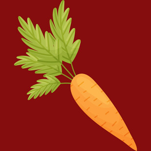 红色背景上的新鲜胡萝卜