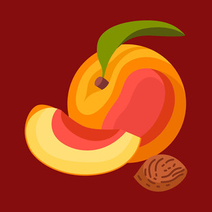 鲜桃切片与桃核插画