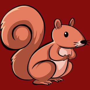 可爱松鼠插画