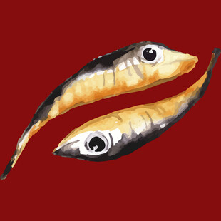 双尾造型鱼形工艺品