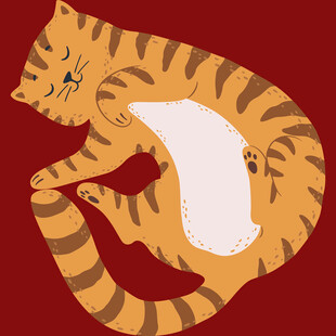 蜷卧的斑纹猫咪