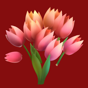 粉色郁金香花束