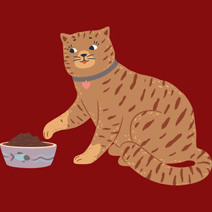 坐着进食的斑纹猫咪