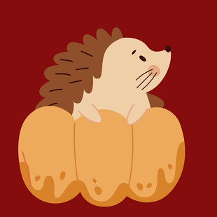 南瓜上的小刺猬