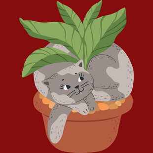 花盆里惬意躺卧的猫咪