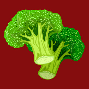 两颗鲜绿西兰花