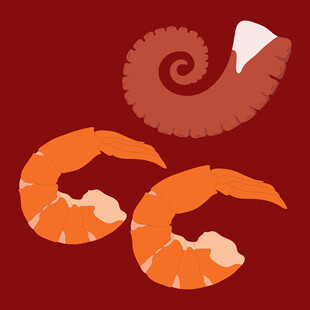 海鲜美味虾与螺旋贝壳