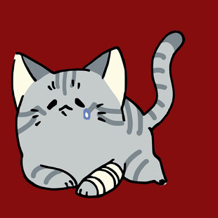 受伤的委屈猫咪
