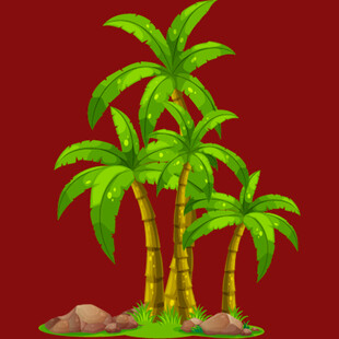 三棵热带棕榈树插画
