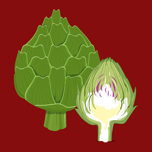 朝鲜蓟插画一整一半