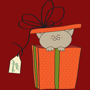 礼盒中探头的可爱猫咪