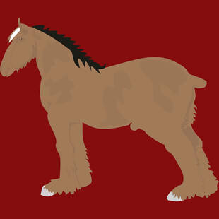 棕色骏马侧立图