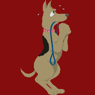 站立小狗叼绳喜庆画面