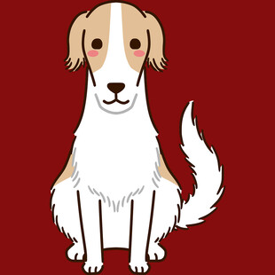 坐着的可爱小狗