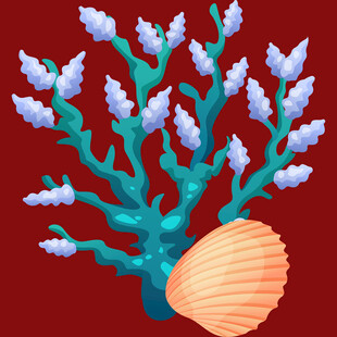 珊瑚与贝壳的梦幻组合