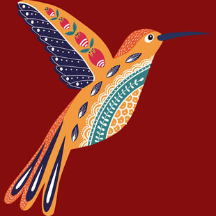 彩色花纹蜂鸟插画