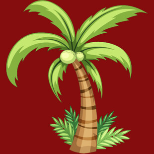 卡通风格的单棵棕榈树插画