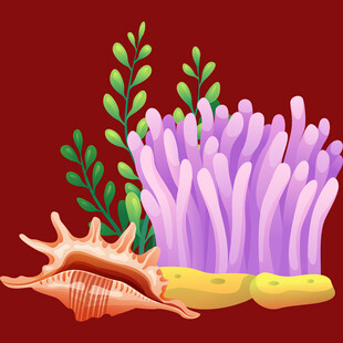 海底珊瑚与贝壳装饰图案