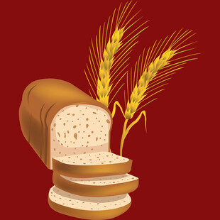 切片面包与麦穗插画