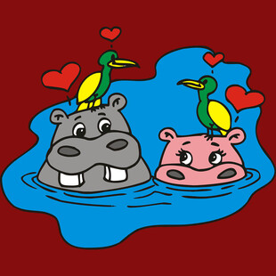 河马情侣水中甜蜜时刻