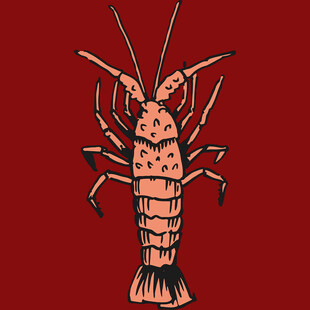 红色背景上的卡通龙虾