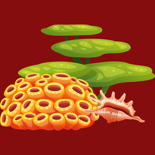 海底珊瑚与绿植及贝壳