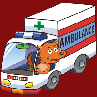 卡通犀牛驾驶的救护车