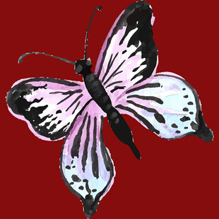 红色背景上的粉黑蝴蝶