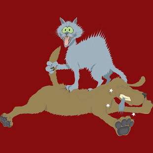 猫骑狗玩耍的趣味场景