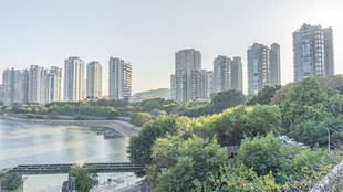 河畔林立高楼与葱郁植被