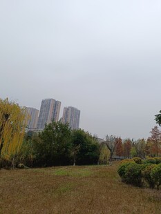 城市郊外的秋日风景