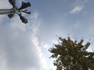 天空下的信号灯与绿树