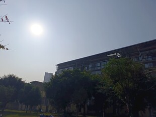 阳光下的校园建筑景观