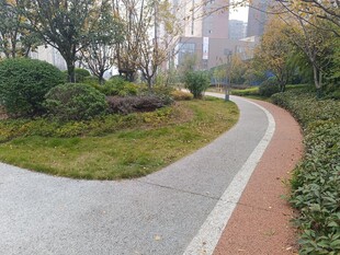 城市中的蜿蜒小径