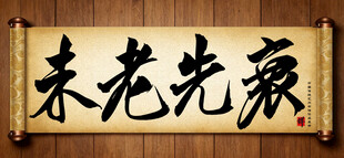 未老先衰中国传统书法艺术作品 