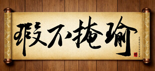 瑕不掩瑜中国传统书法艺术作品 