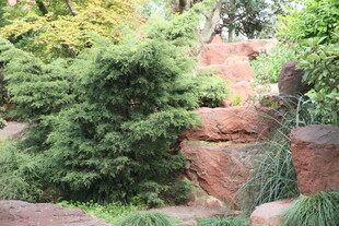 自然山石绿植景观