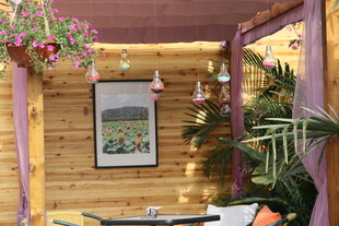 温馨木质风室内休闲角落