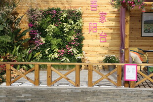 木质围栏旁的缤纷绿植墙