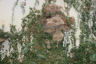 藤蔓缠绕的古朴石雕头像