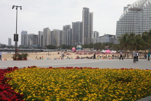 海滨城市花坛与高楼景观