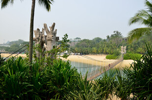 热带风光中的古老建筑景观