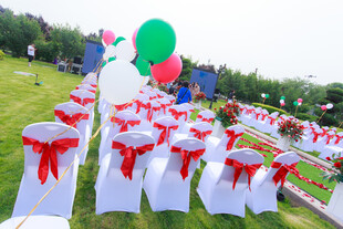 户外草坪婚礼布置场景